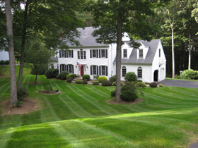 Connecticut Shoreline Lawn Management