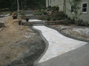 Set2_010_5249825480_l