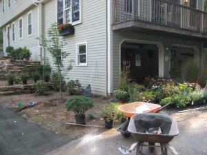 Set2_012_5249224363_l