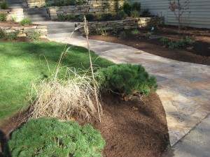 Set2_021_5249238915_l