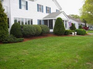 landscapemgmt005