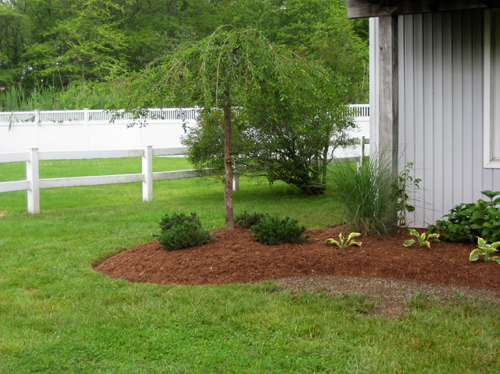 Sea Coast Designs Landscape » landscapemgmt008