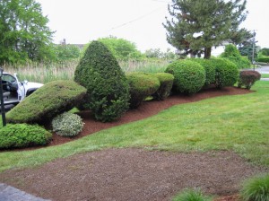 landscapemgmt009