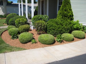 landscapemgmt014