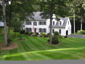 lawnmgmt001