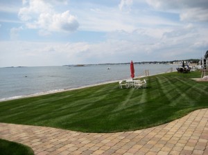 lawnmgmt015