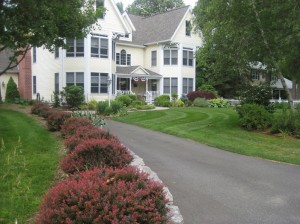lawnmgmt017
